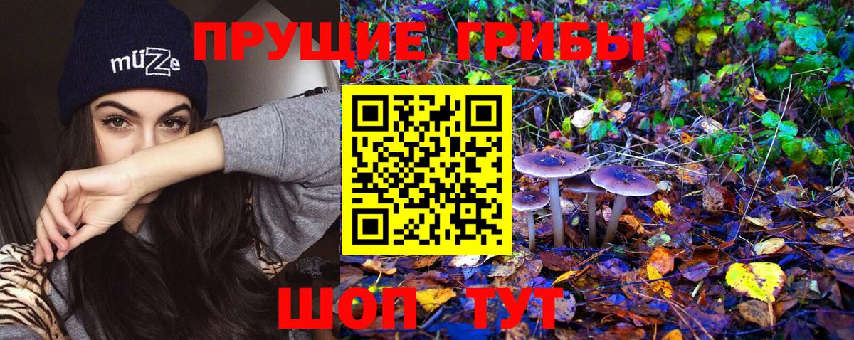 Псилоцибиновые грибы мухоморы Коломна