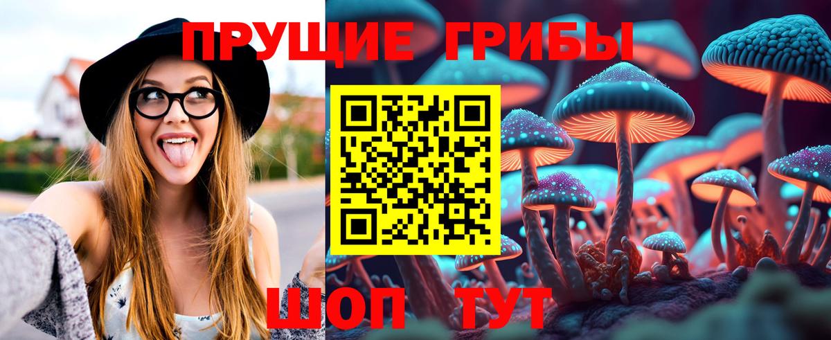 Галлюциногенные грибы Magic Shrooms  купить наркотик  Коломна  Вход с VPN 